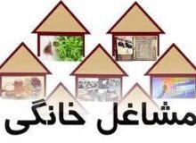 مشاغل و کسب و کارهای خانگی را توسعه می دهیم