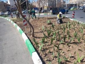 کاشت ۶۰ هزار گلدان گل فصلی در عرصه‌های سبز منطقه ۹