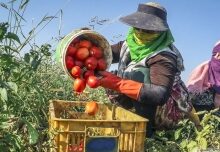 ۱۴۵ بهره بردار نظرآبادی از پرداخت جرایم تسهیلات بانکی معاف شدند