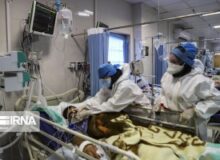 ۲۴ بیمار با علائم کووید ۱۹ در مراکز درمانی استان بستری شدند