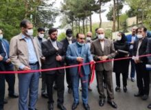 نقش تولیدی روستاها در اجرای طرح های بنیاد مسکن مورد توجه قرار گیرد