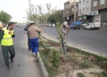 اجرای رینگ فضای سبز در حاشیه جنوبی بلوار شهید ایرانی