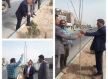 بازدید میدانی شهردار چهارباغ از پروژه رفیوژ وسط بلوار پیام