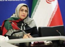حضور اقوام ایرانی در جشنواره‌ها و نمایشگاه‌های صنایع‌دستی تقویت شود