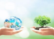 شعار زمین پاک را باید با کمک شرکت های دانش بنیان محقق کنیم