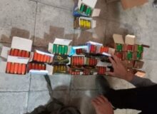 متخلفان شکار و صید غیرمجاز در البرز دستگیر شدند
