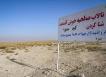 ستاد احیا و نگهداری تالاب صالحیه تشکیل شد