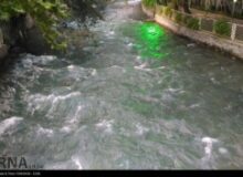 گردشگران از توقف درحاشیه رودخانه های البرز خودداری کنند