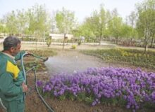 دو بوستان محله‌ای در منطقه ۲ احداث می‌شود