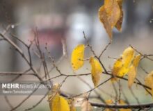 احتمال بارش رگبار و تگرگ در البرز