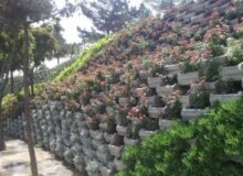 اراضی آزادسازی شده در خط ۴ حصار به عرصه فضای سبز تبدیل می شود
