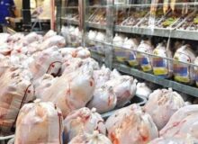 ۳۵ تن مرغ در فردیس توزیع شد