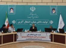 قیمت نان سنتی تغییر نمی کند