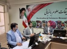 طرح ۴۵ متری جنوبی شهر  کمالشهر بصورت جهادی در دست اقدام است