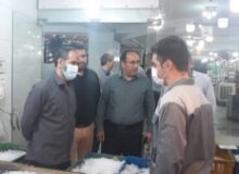دکتر عباسی نماینده مجلس از بازار روزهای لاله و شاهین ویلا بازدید کرد
