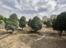 آغاز عملیات احداث پارک تندرستی