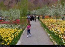 انسداد جاده‌های روستایی برای ممانعت از ورود گردشگران در آسارا وجاهت قانونی ندارد