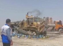 بیش از ۳ تن پنیر غیربهداشتی در کرج معدوم شد