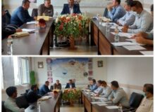 طرح بازبینی در سهمیه آرد دولتی نانوایی ها در نظرآباد اجرا می شود