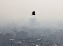 در این روز‌های غبارآلود چه بخوریم تا سالم بمانیم؟