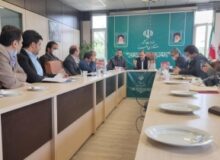 سیاست‌گذاری دولت بر قطع دست واسطه‌ها و دلالان است