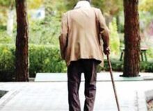 ظرفیت سازمان‌های مردم نهاد برای حل مشکلات سالمندی در استان البرز استفاده شود