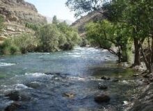 غرق شدگی کودک ۶ ساله در کرج