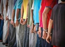 دستگیری ۲۲ سارق در اجرای طرح پاکسازی نقاط آلوده “فردیس”