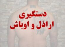 دستگیری ۶ نفر اراذل و اوباش در “نظرآباد”