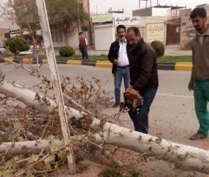 تندباد سبب سقوط چهار درخت و خسارت به ۲ دستگاه خودرو در کرج شد