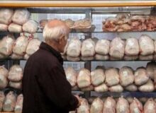 کاهش خرید مرغ به دلیل افزایش سایر هزینه‌ها