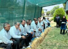 تشکل های روستایی البرز با روش های تلقیح مصنوعی دام سنگین آشنا می شوند