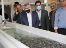 بازدید استاندار البرز از قدیمی ترین مرکز پرورش و تکثیر ماهی کشور