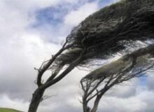 تمهیدات لازم برای پیشگیری از خسارت های باد شدید در البرز پیش بینی شود