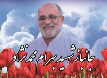 جانباز شهید بهرام محمد نژاد، سرباز واقعی ولایت بود