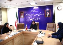 نشست شورای هماهنگی خدمات بهداشتی بیمه شدگان برگزار شد