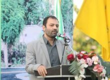 پتانسیل و ظرفیت احداث بیش از ۳۰ پارک محله ای در سال جاری وجود دارد