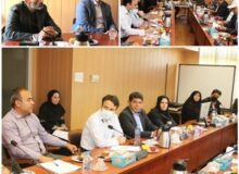 تقویت تولید دانش بنیان و اشتغال آفرین با هم افزایی بخش های اجرایی و تحقیقاتی