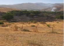 حریق در روستای سرزیارت منطقه حفاظت شده البرز جنوبی اطفا شد