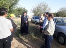 ایران رتبه سوم تولید بادام را در دنیا دارد