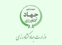 کشاورزان برای پیشگیری از خسارت سیل، هشدارهای هواشناسی را جدی بگیرند
