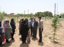 بازدید مهندس یعقوبی شهردار هشتگرد از بخش جنوبی شهرک کوثر