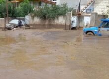 ۱۱۰ خانه در اطراف رودخانه طالقان درگیر سیل شده است