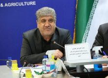 حضورکمپ‌ها و اردوهای ورزشی در البرز قابل توجه است