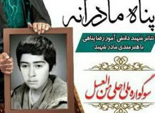 نقش پناه مادرانه را به عشق فرزند شهیدم پذیرفتم