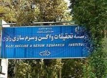بازدید مسئولان و کارشناسان سازمان بهداشت جهانی و وزارت بهداشت از موسسه رازی