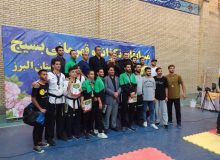 البرز، قهرمان مسابقات تکواندوی بسیج کشور در بخش آقایان شد