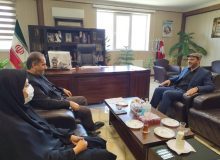 مهارت آموزی به عنوان رکن اصلی اشتغال و رفع چالش بیکاری اهمیت دارد