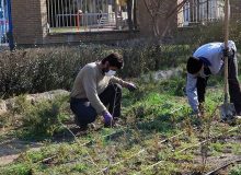 حذف ۳۲۰۰ مترمربع چمن در منطقه یک کرج