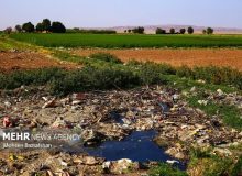 سیاه‌جوی بلای سلامتی محمدشهری‌ها